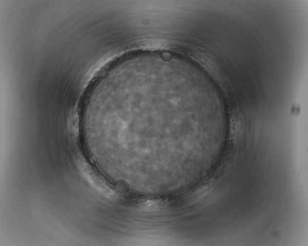 X0000113250584200909171627