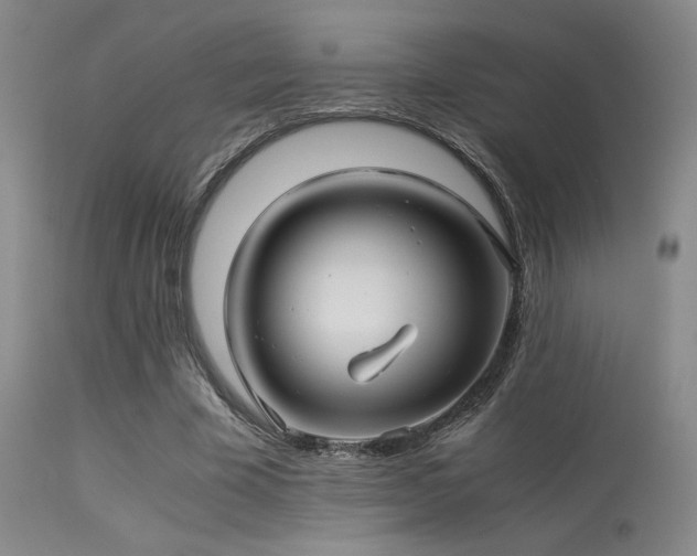 X0000113250585200909171627