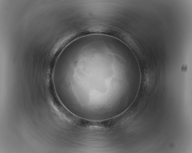 X0000113250586200909171627