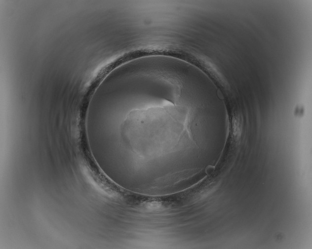 X0000113250588200909171627