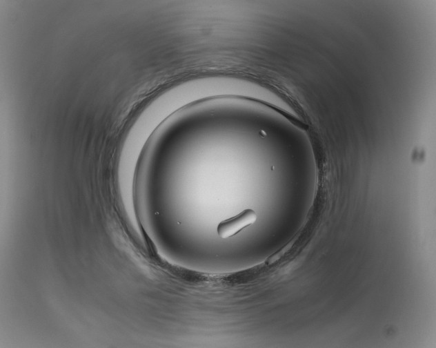 X0000113250589200909171627