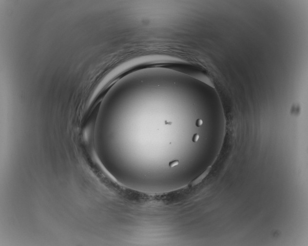 X0000113250593200909171627