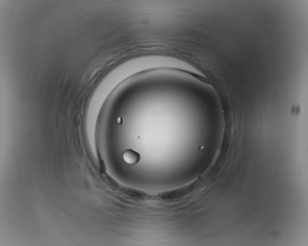 X0000113250595200909171627