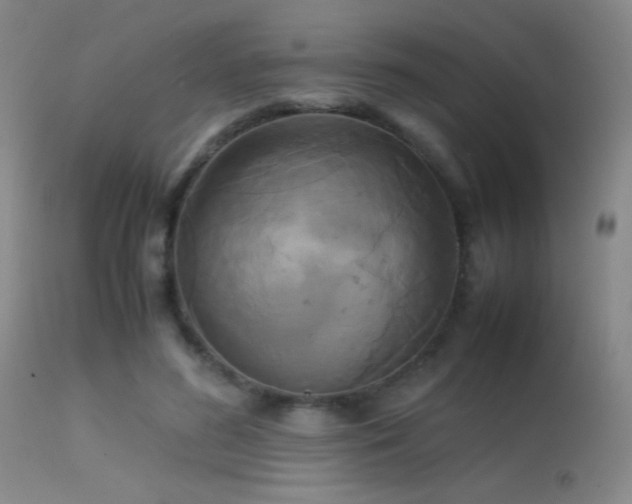 X0000113250596200909171627