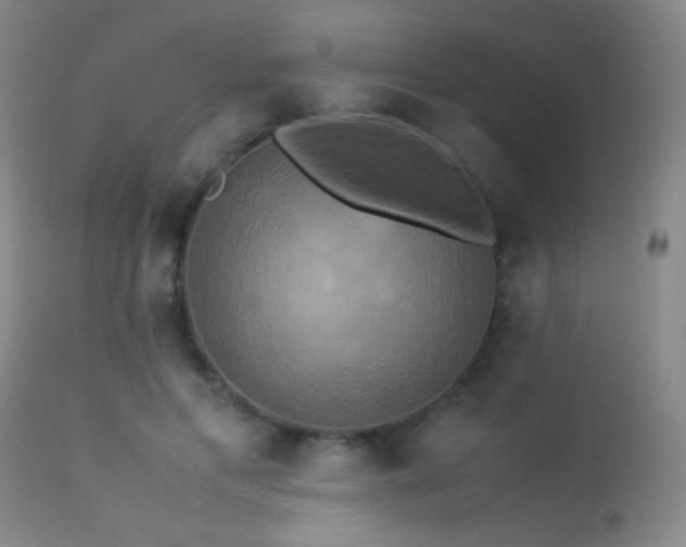 X0000113250597200909171627