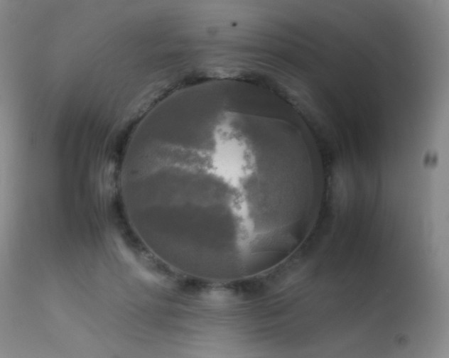 X0000113250598200909171627