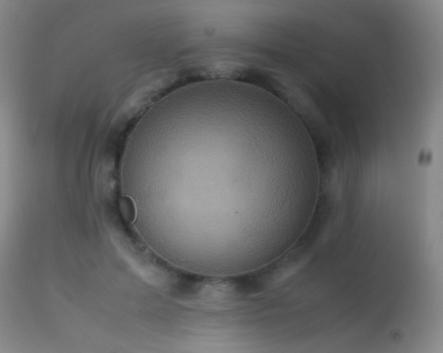 X0000113250599200909171627