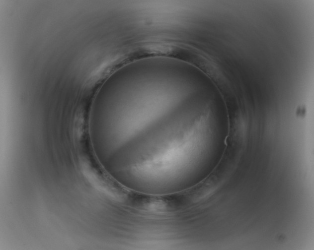 X0000113250600200909171627