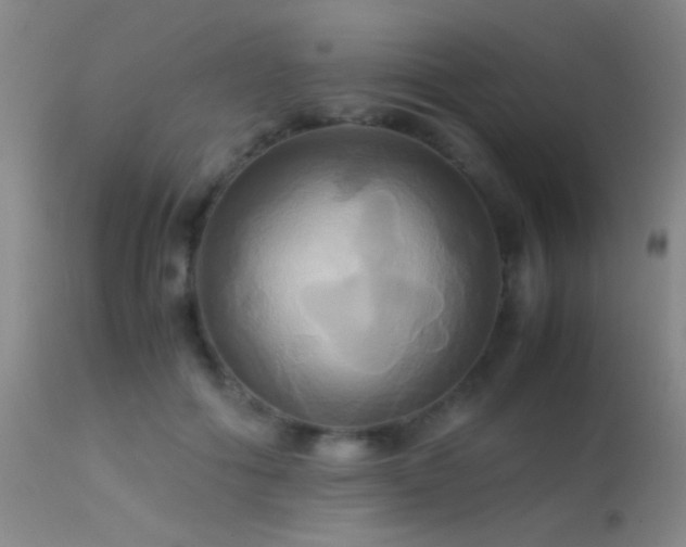 X0000113250602200909171627