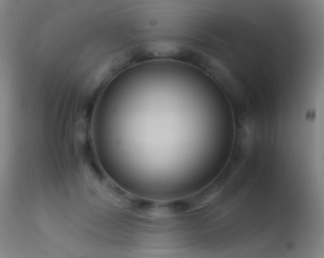 X0000113250604200909171627