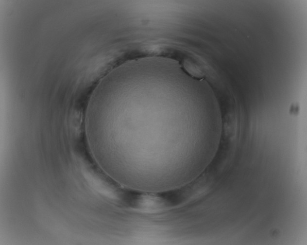 X0000113250605200909171627