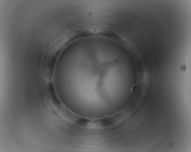 X0000113250606200909171627