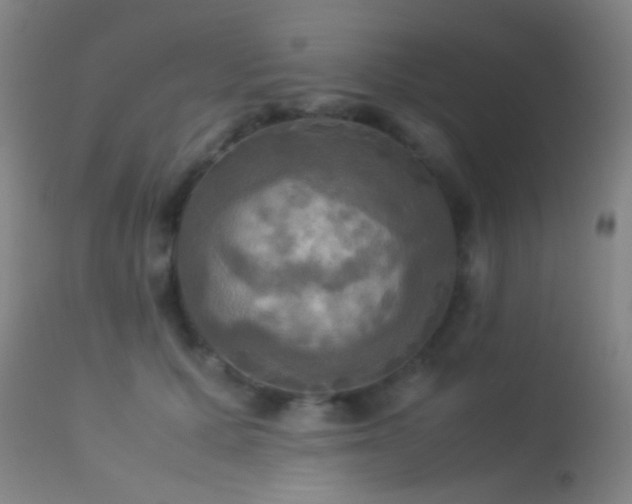 X0000113250607200909171627