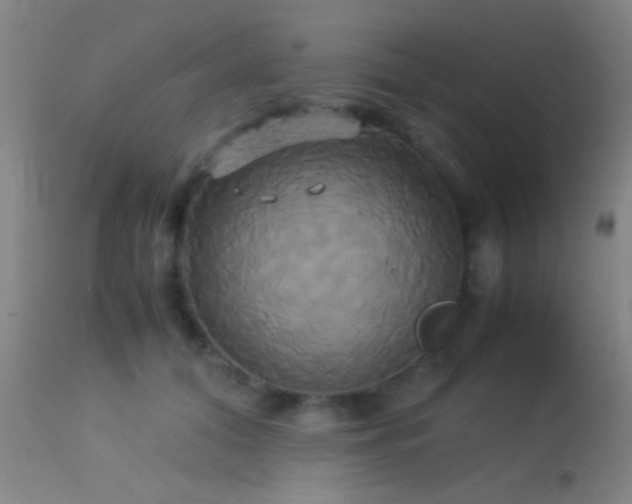 X0000113250608200909171627