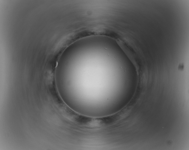 X0000113250609200909171627