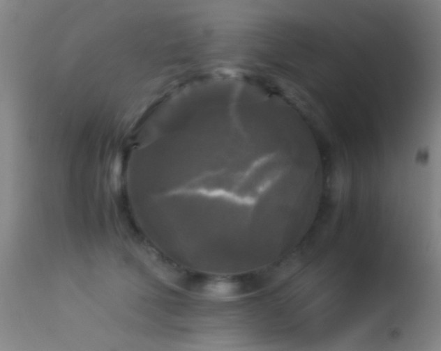 X0000113250610200909171627