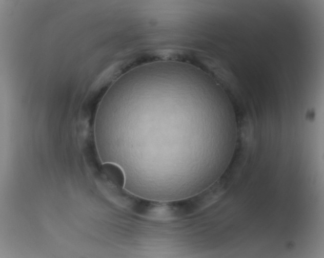 X0000113250611200909171627