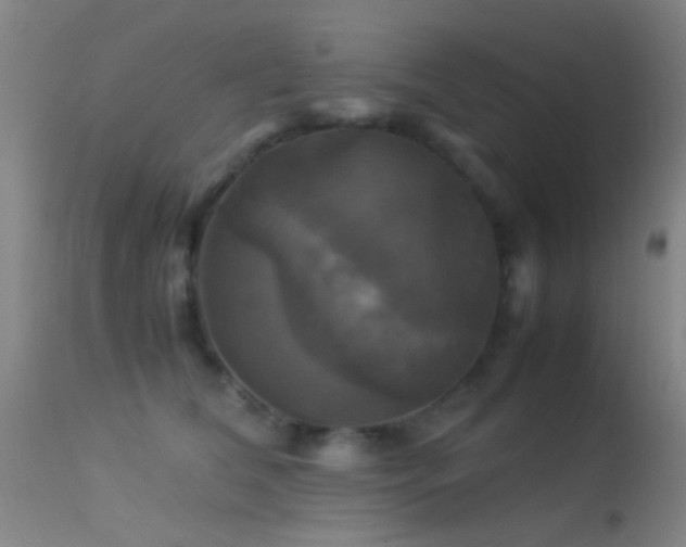 X0000113250612200909171627