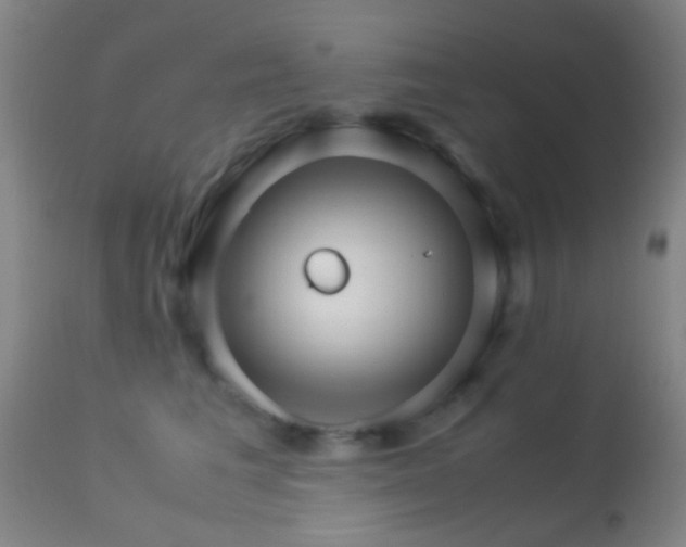 X0000113250613200909171627