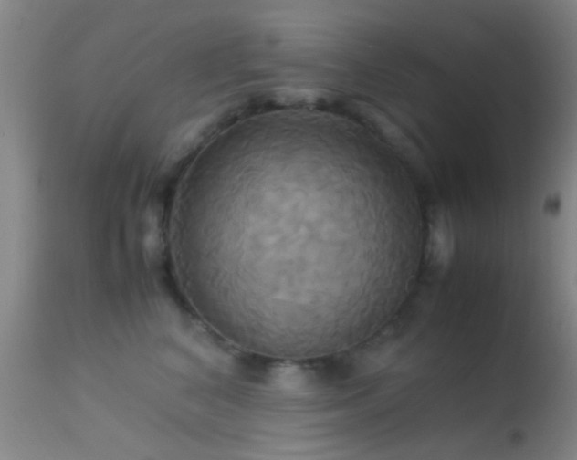 X0000113250616200909171627