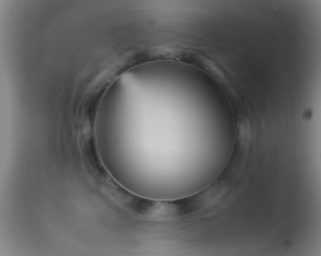 X0000113250617200909171627