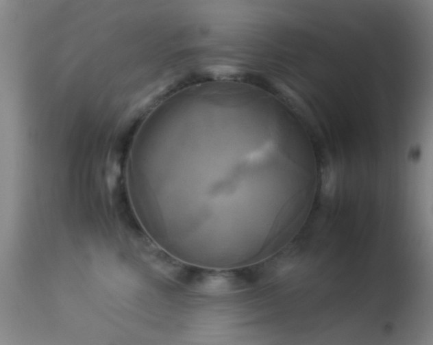 X0000113250618200909171627