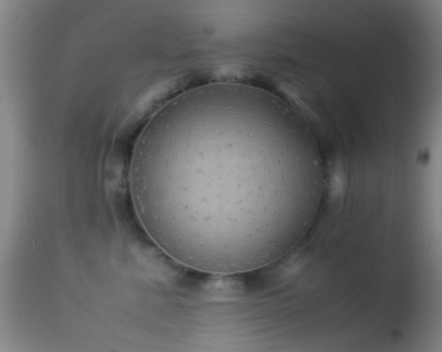 X0000113250619200909171627