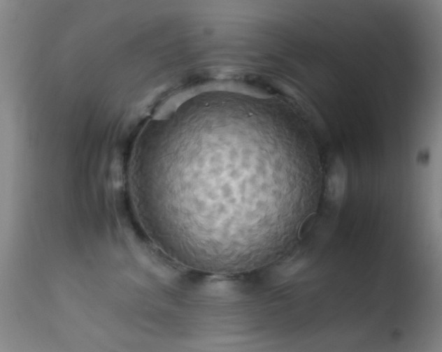 X0000113250620200909171627