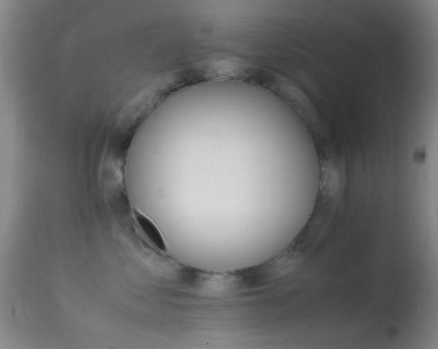 X0000113250621200909171627