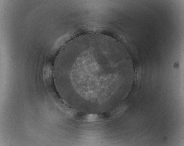 X0000113250623200909171627