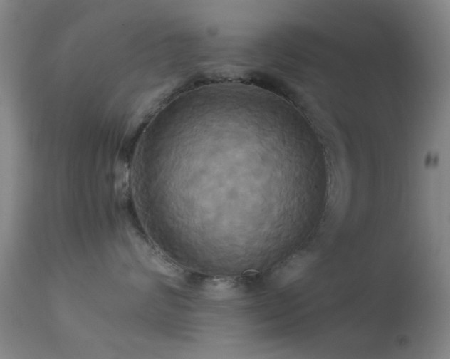 X0000113250624200909171627