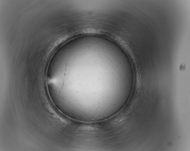 X0000113250625200909171626