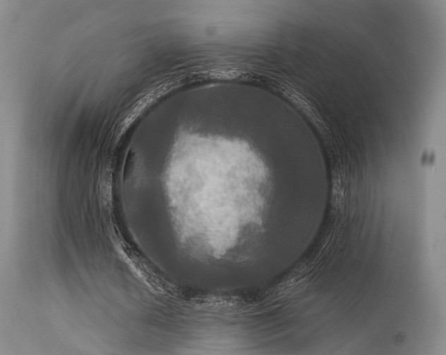 X0000113250626200909171626