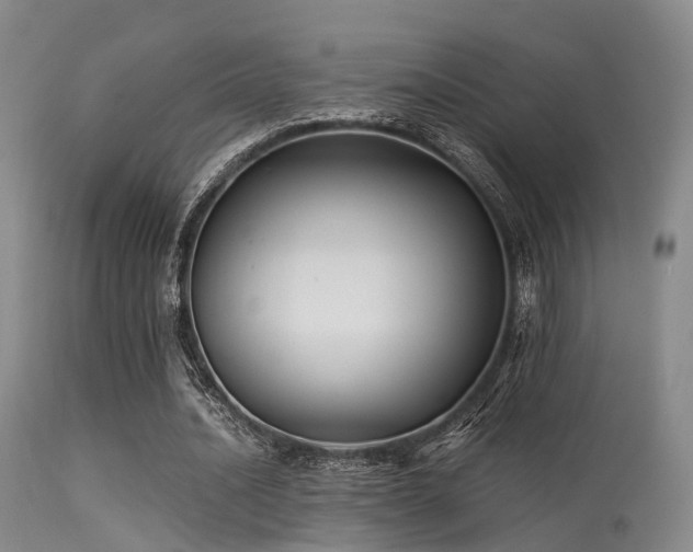 X0000113250628200909171626