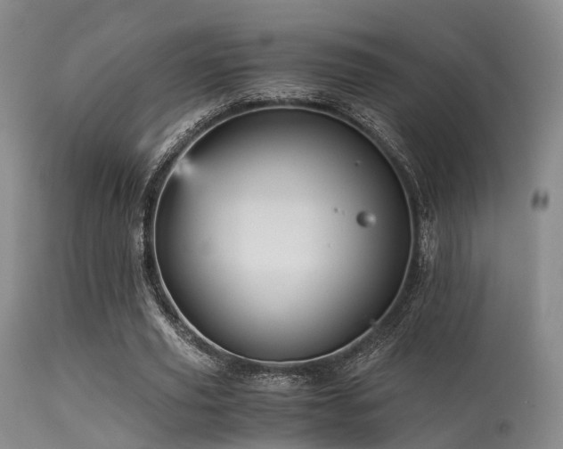 X0000113250629200909171626