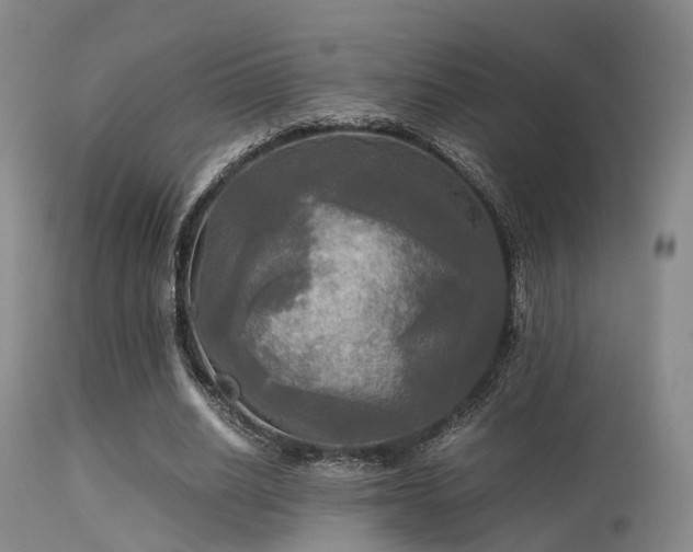 X0000113250630200909171626