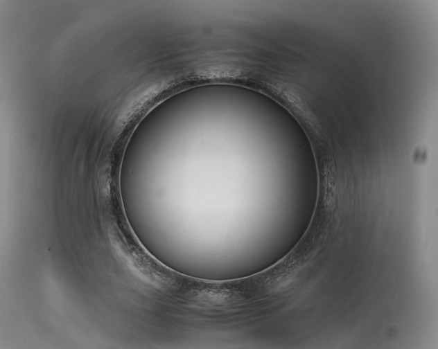 X0000113250631200909171626