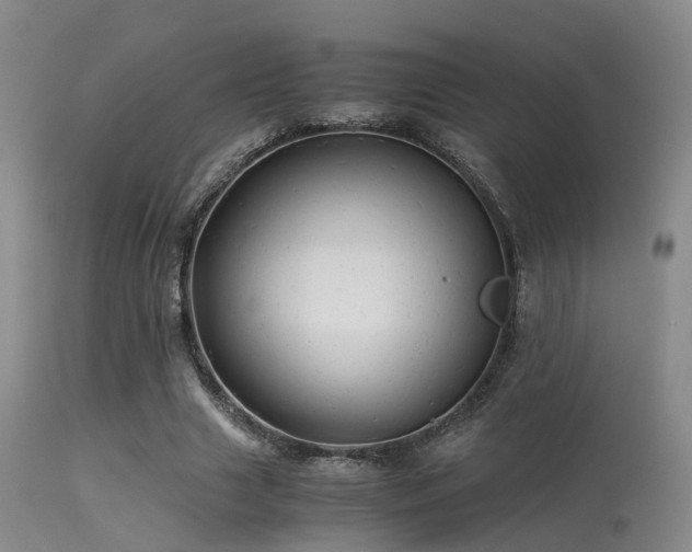 X0000113250633200909171626