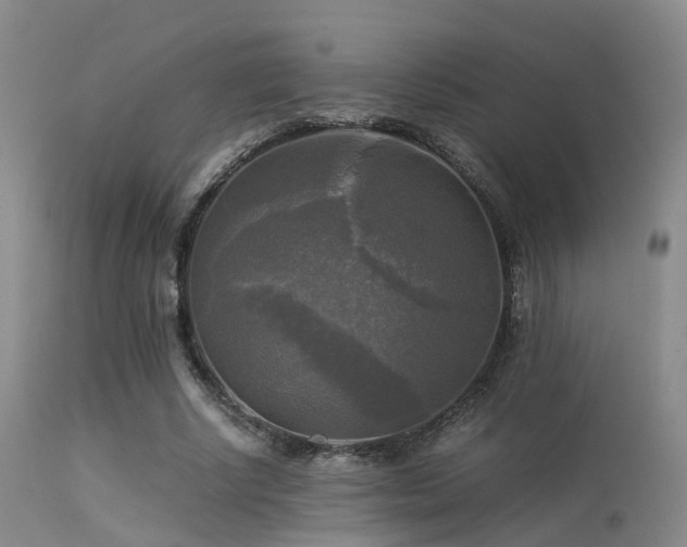 X0000113250634200909171626