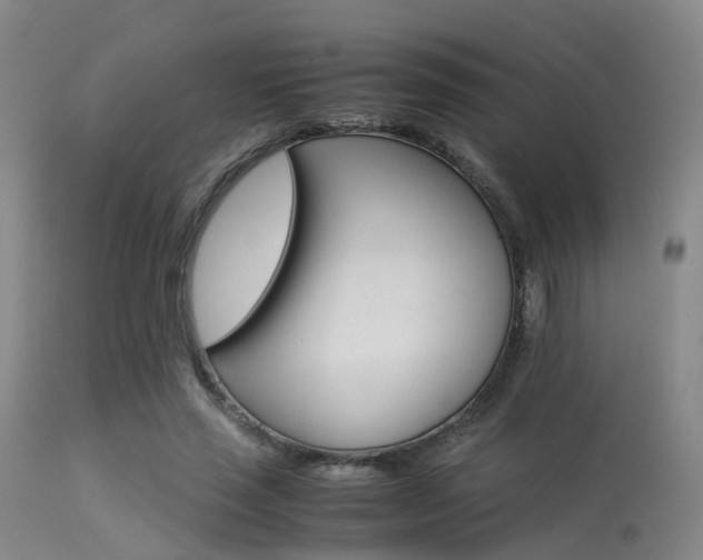 X0000113250637200909171626