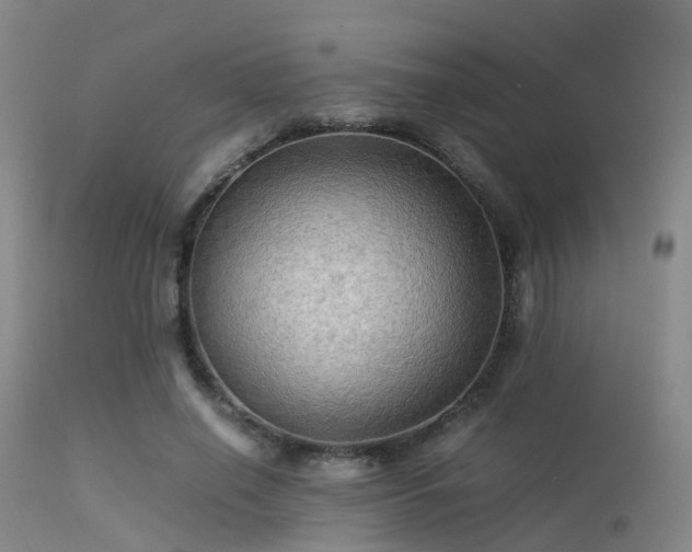 X0000113250638200909171626