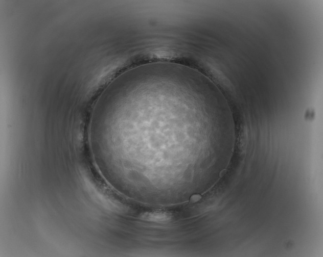 X0000113250639200909171626