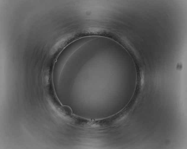 X0000113250640200909171626