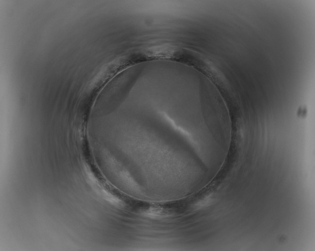 X0000113250641200909171626