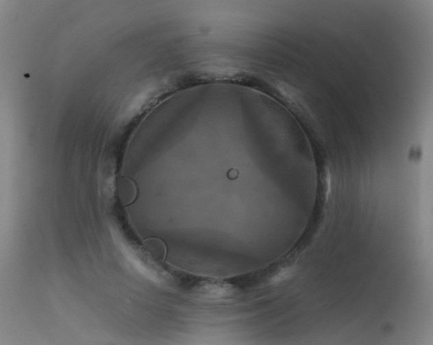 X0000113250642200909171626