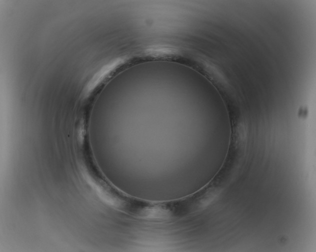 X0000113250644200909171626