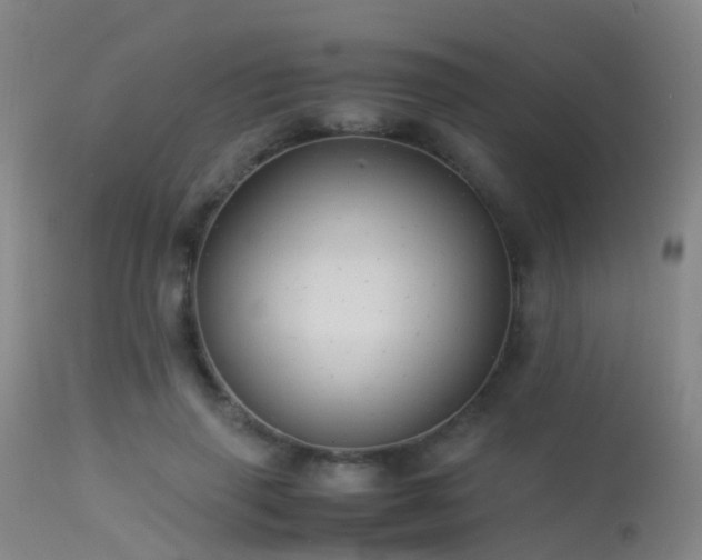 X0000113250645200909171626