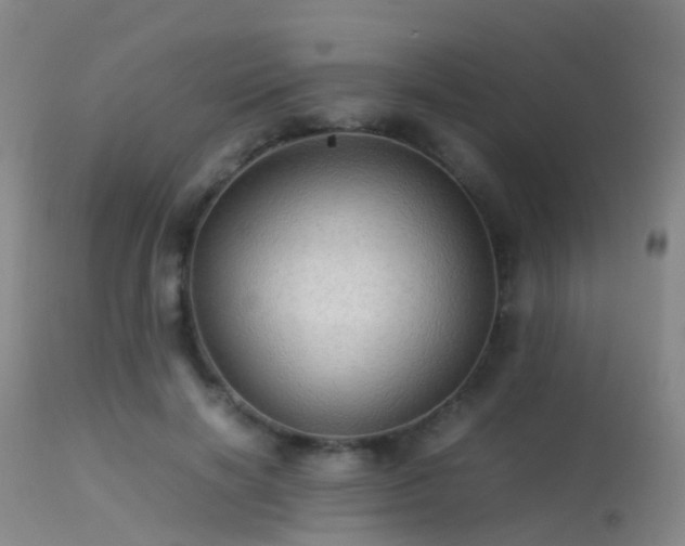 X0000113250646200909171626