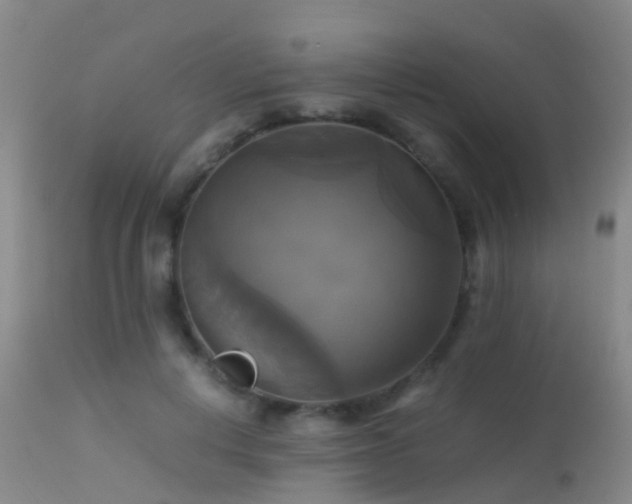 X0000113250648200909171626