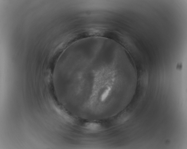 X0000113250649200909171626